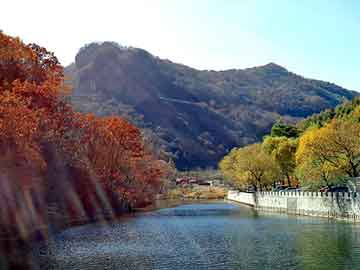 管家婆黑白马报图库，遭遇冷血大亨